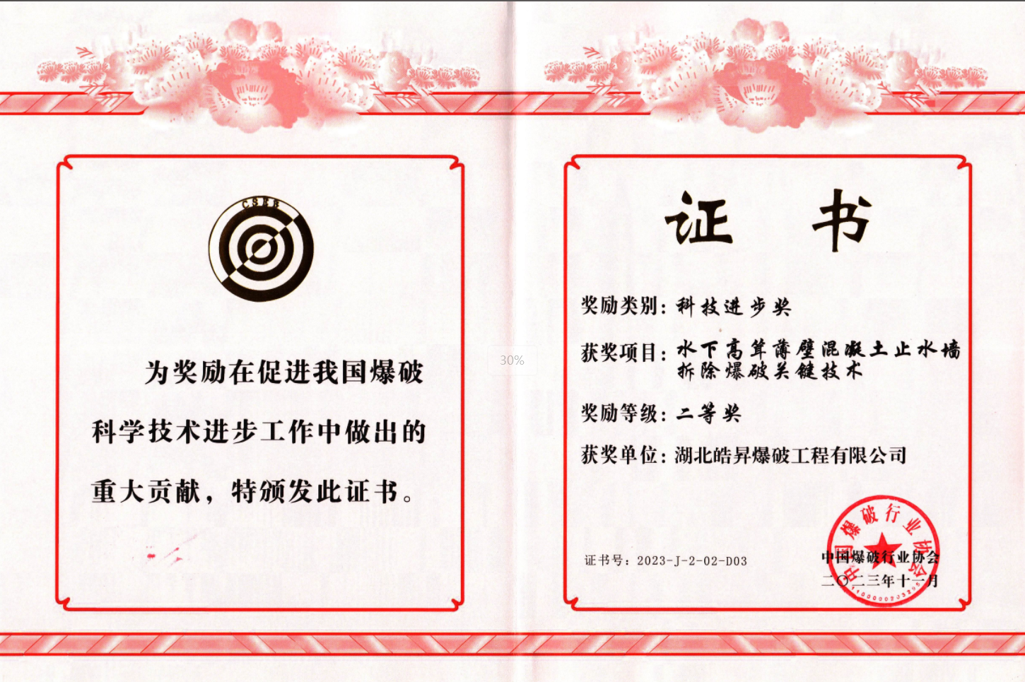 科技進步獎單位二等獎